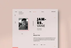 Red and Ivory Resume