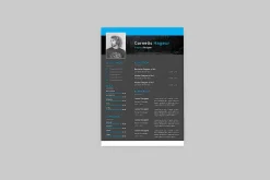 Redolent Resume Designer