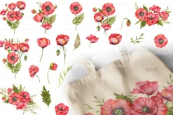 Red Poppy Watercolor Clipart