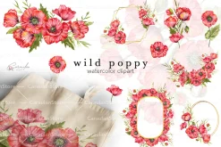 Red Poppy Watercolor Clipart