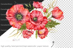 Red Poppy Watercolor Clipart