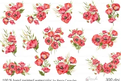 Red Poppy Watercolor Clipart