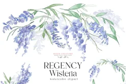 Regency Wisteria Watercolor Clipart