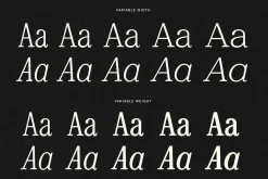 REKLAM Variable Serif