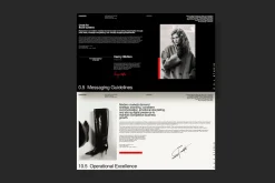 REMORISE Brand Guideline