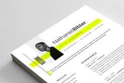 Resume/CV