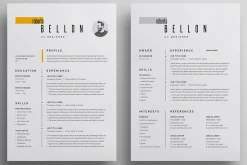 Resume/CV
