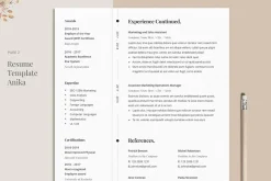 Resume Template Anika