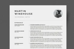 Resume Template / CV