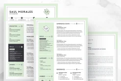 Resume Template 3 Page | CV Template