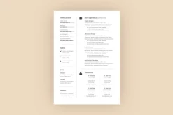 RESUME TEMPLATE V3