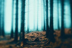 Retro Lens Poster Photo Effect