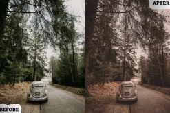 Retro Style Lightroom Presets