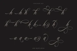 Rhapsody | Calligraphy Script