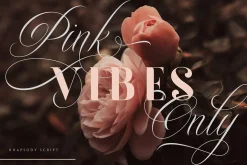 Rhapsody | Calligraphy Script
