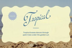 Rinapelle - Vintage Script Font