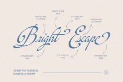 Rinapelle - Vintage Script Font