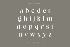 Ringreat Decorative Serif Font