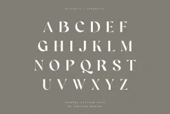 Ringreat Decorative Serif Font