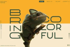 Rinjani Sans - Wide Stretch Typeface