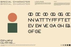 Rinjani Sans - Wide Stretch Typeface
