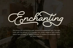 Rivaldy - Monoline Script Font