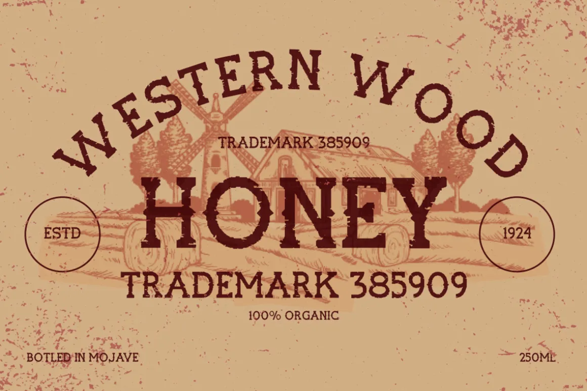 Rockrough Distressed Slab Serif Font