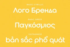 Roie Logo Font