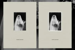 ROMANCE Paper Frames & Textures