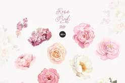Rose Pink Watercolor Floral