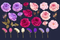 Roses and Dry Flowers Pattenrs