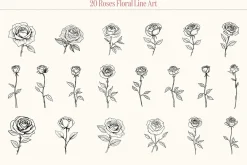 Roses Floral Line Art