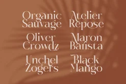 Rosse Merona Modern Serif Font