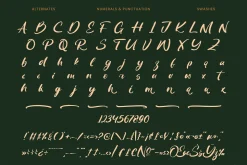 Routine Oldnight Modern Brush Font