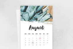 Rovist Script