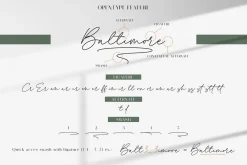 Royal Ambition | Font Duo