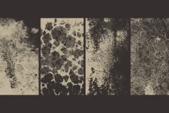 Rusty Wall Texture