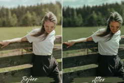 10 Sage Green Lightroom Presets
