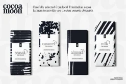 Saigon Minimalist Serif - Basic Pack