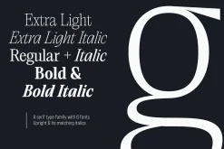 Saigon Minimalist Serif - Basic Pack