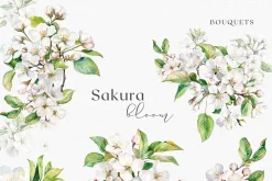 Sakura Bloom - Cherry Blossom