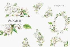 Sakura Bloom - Cherry Blossom