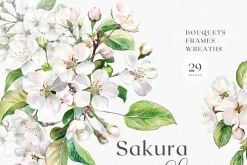 Sakura Bloom - Cherry Blossom