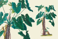 SALE! Botanical Heaven-Illustrations