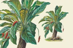 SALE! Botanical Heaven-Illustrations