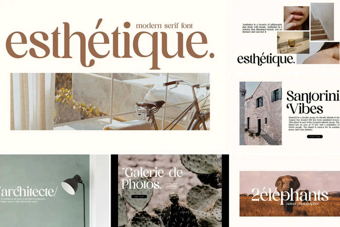 SALE! Modern & Classy Serif Font