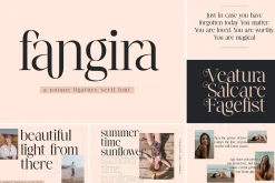 SALE! Modern & Classy Serif Font