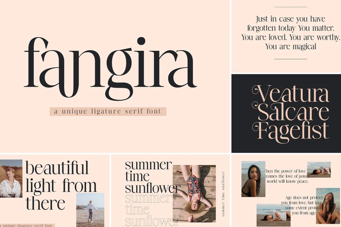 SALE! Modern & Classy Serif Font