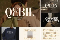 SALE! Modern & Classy Serif Font