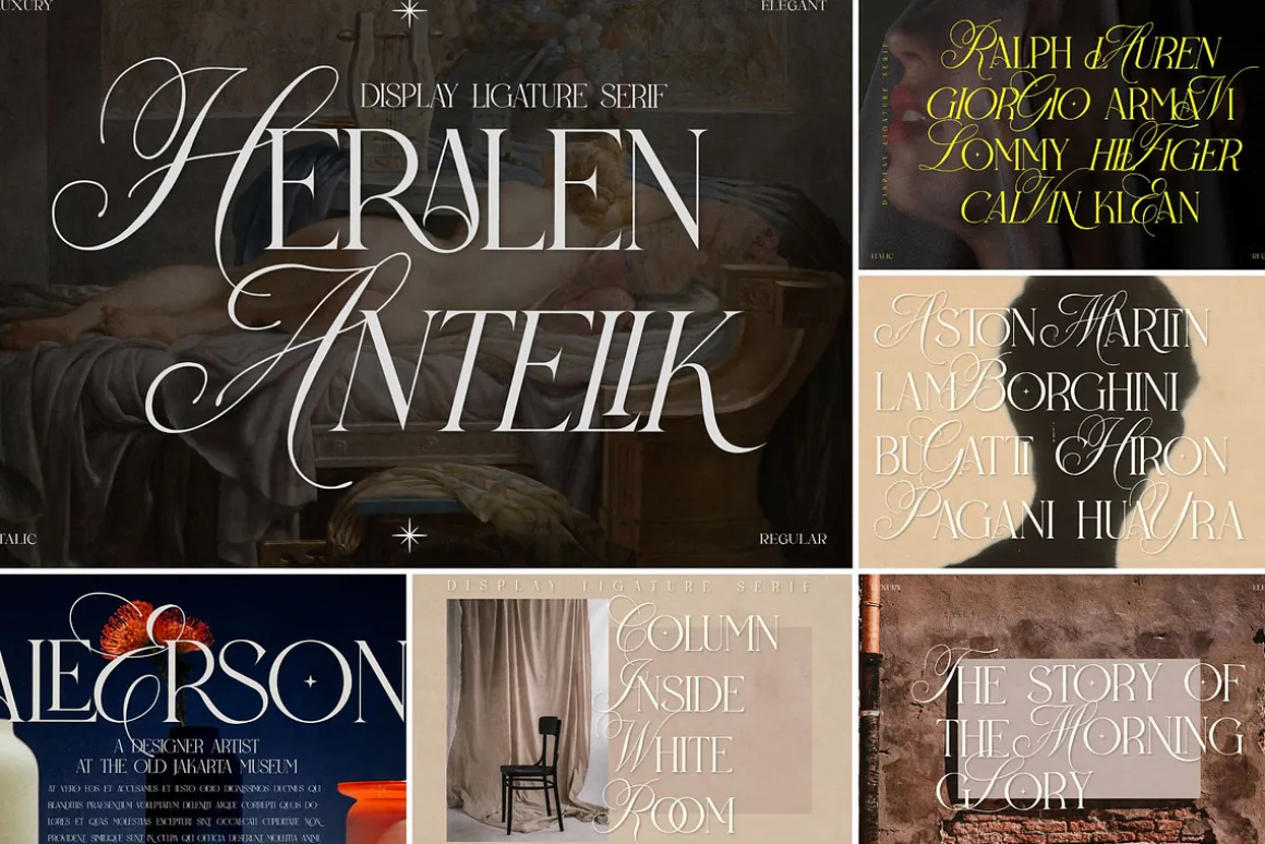 SALE! Modern & Classy Serif Font